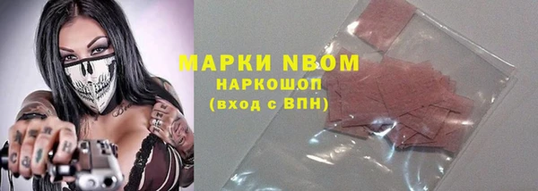 стаф Абаза