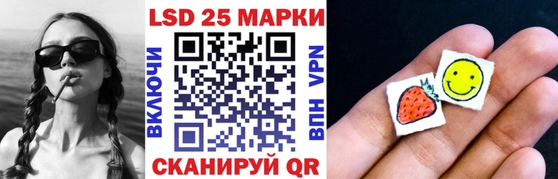 shop наркотические препараты  Приволжск  Наркотические марки 1,5мг  дарнет шоп 
