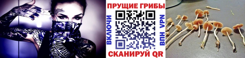 Галлюциногенные грибы мухоморы  Приволжск 